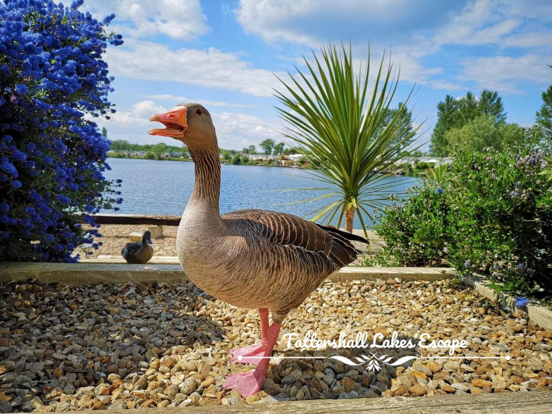 Meridian Tattershall Lakes Escape - Lakeside Lodge Caravan With A Fishing Peg Luxury Hot Tub Екстериор снимка