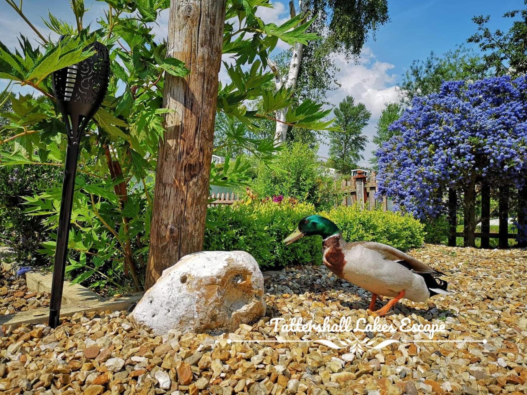 Meridian Tattershall Lakes Escape - Lakeside Lodge Caravan With A Fishing Peg Luxury Hot Tub Екстериор снимка